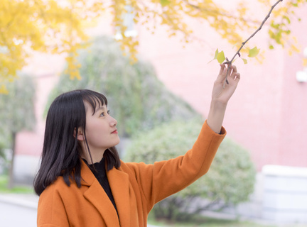 菲律宾大学有护理专业吗